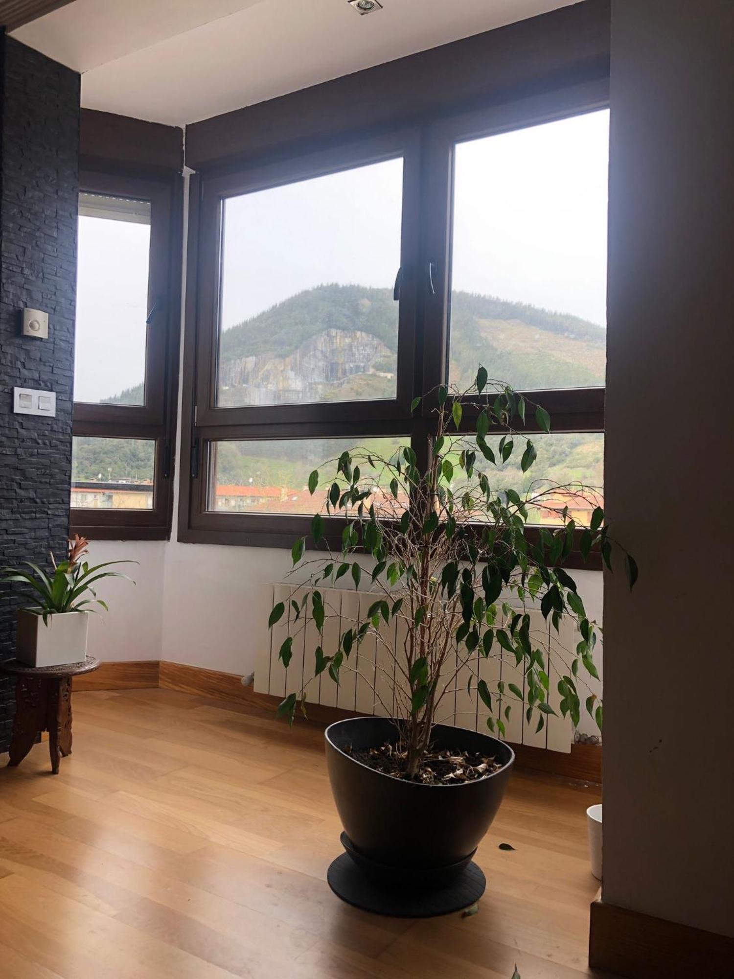 Duplex Markina Xemein Marquina-Jemein Dış mekan fotoğraf